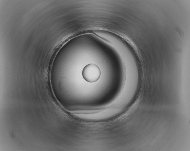 X0000113610785200910091541