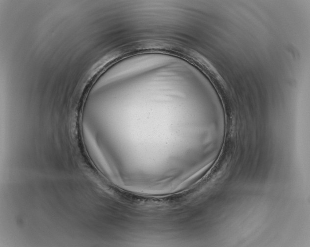 X0000113610786200910091541