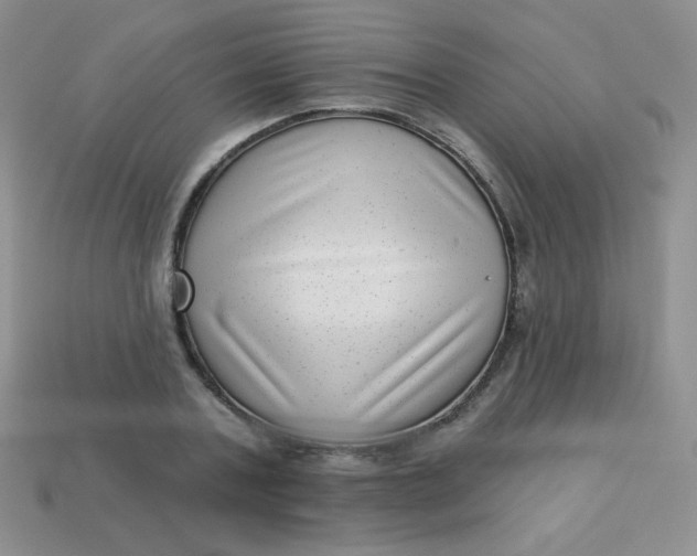 X0000113610787200910091541