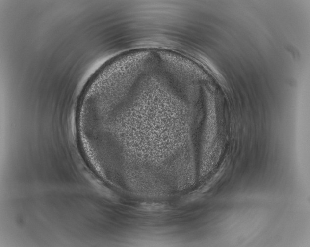 X0000113610788200910091541