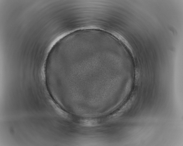 X0000113610789200910091541