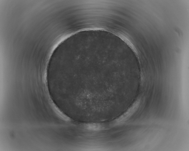 X0000113610797200910091540