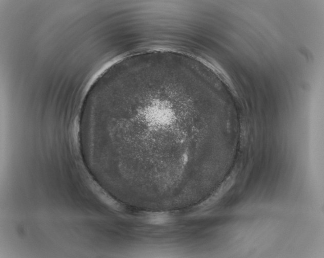 X0000113610798200910091540