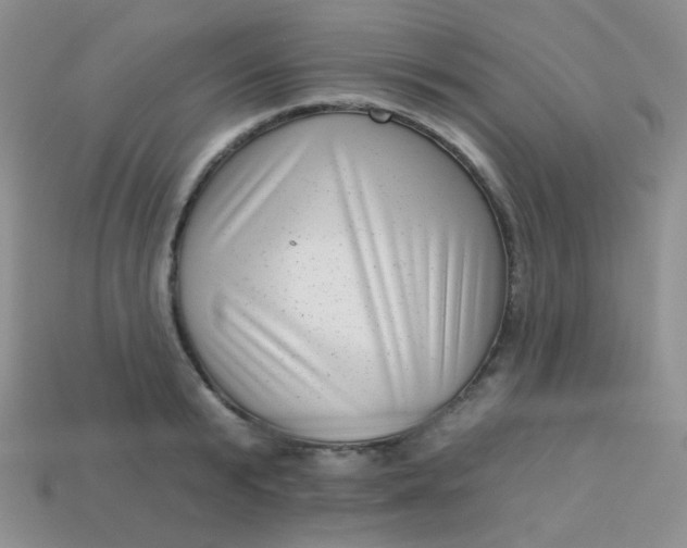 X0000113610799200910091540