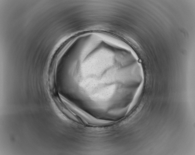 X0000113610800200910091540