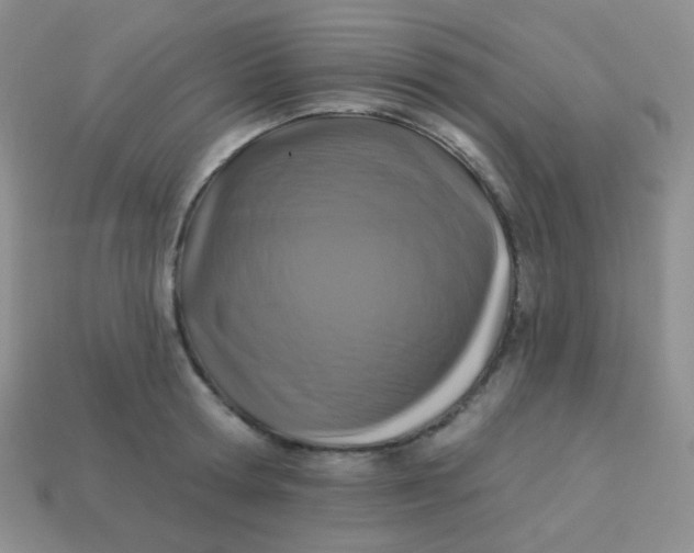 X0000113610802200910091540