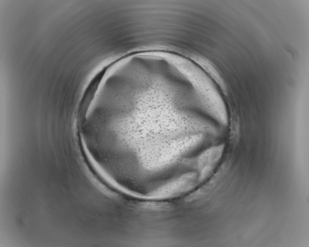 X0000113610805200910091540