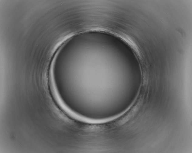 X0000113610806200910091540