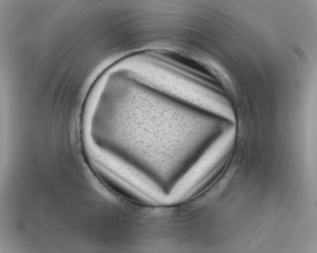 X0000113610808200910091540