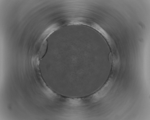 X0000113610809200910091540