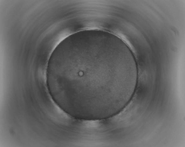 X0000113610810200910091540