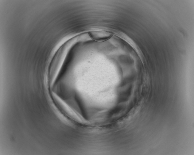 X0000113610811200910091540