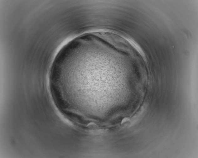 X0000113610813200910091540