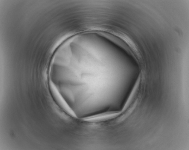 X0000113610814200910091540