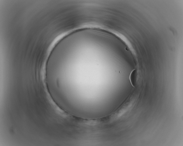 X0000113610815200910091540