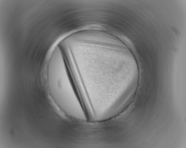 X0000113610816200910091540