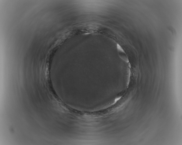 X0000113610818200910091540