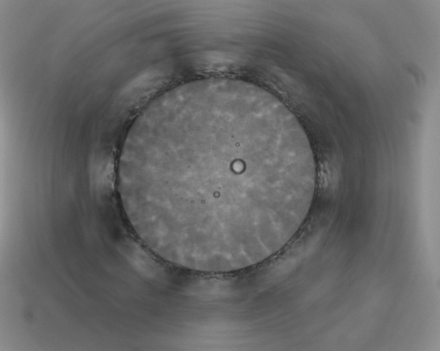 X0000113610820200910091540