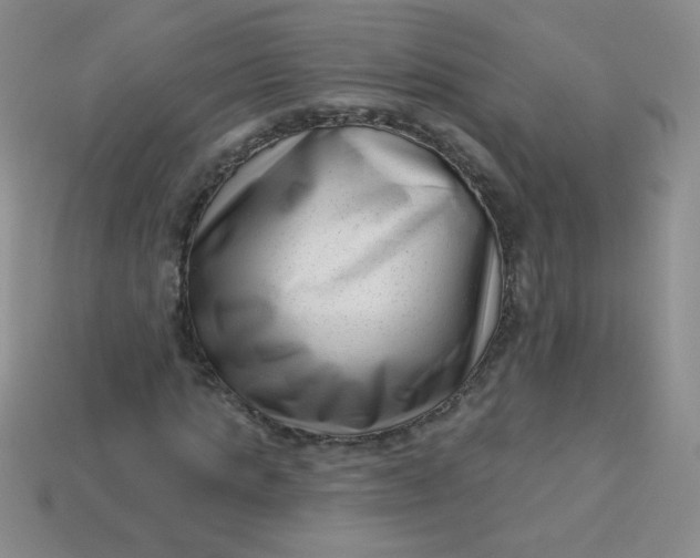 X0000113610821200910091540