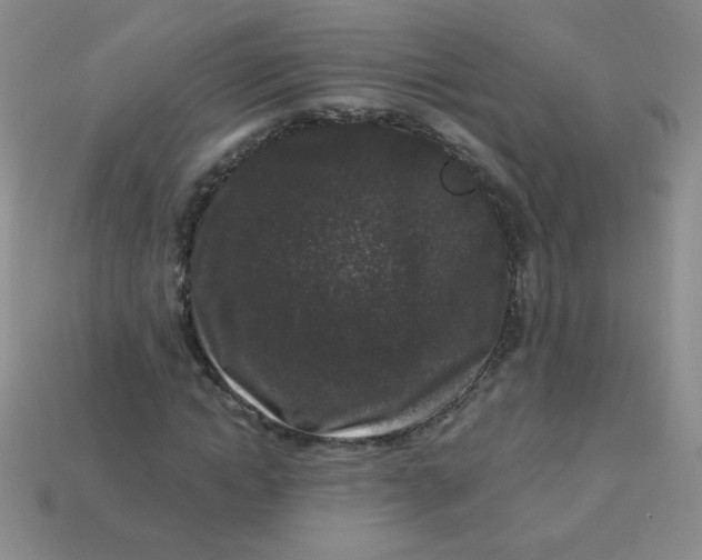 X0000113610822200910091540