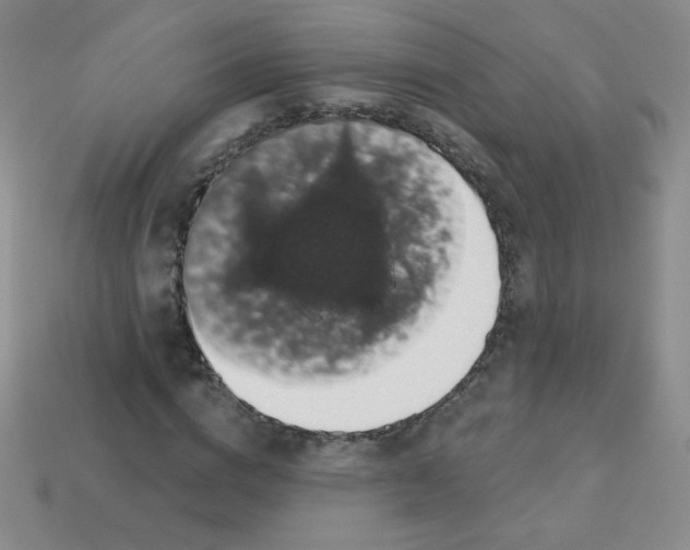 X0000113610824200910091540