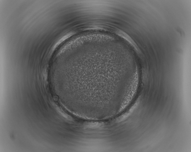 X0000113610826200910091540