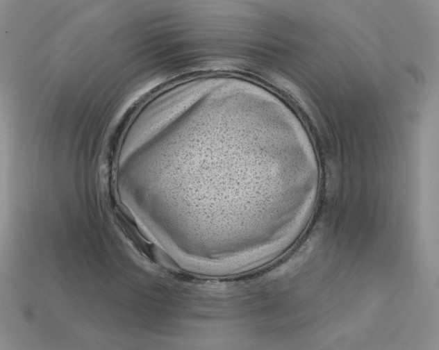 X0000113610827200910091540