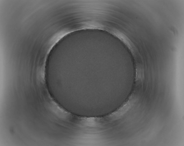 X0000113610828200910091540