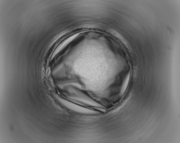 X0000113610829200910091540