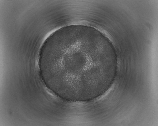 X0000113610830200910091540