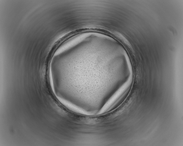 X0000113610831200910091540