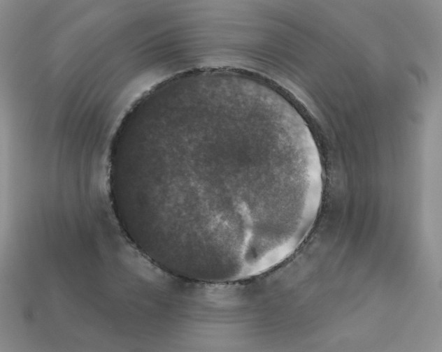 X0000113610832200910091540