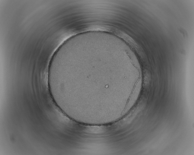 X0000113610836200910091540