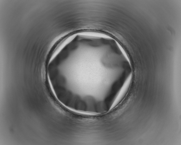 X0000113610838200910091540