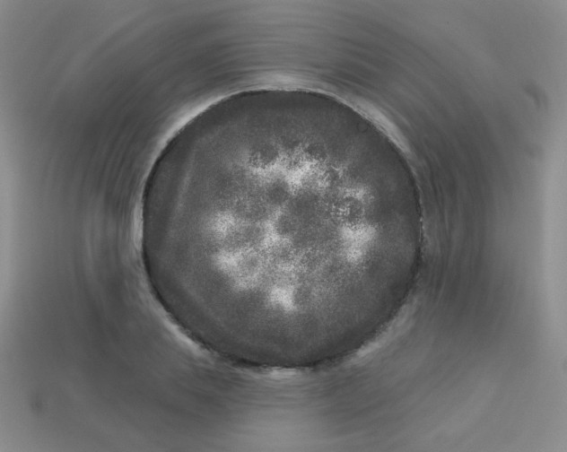 X0000113610839200910091540