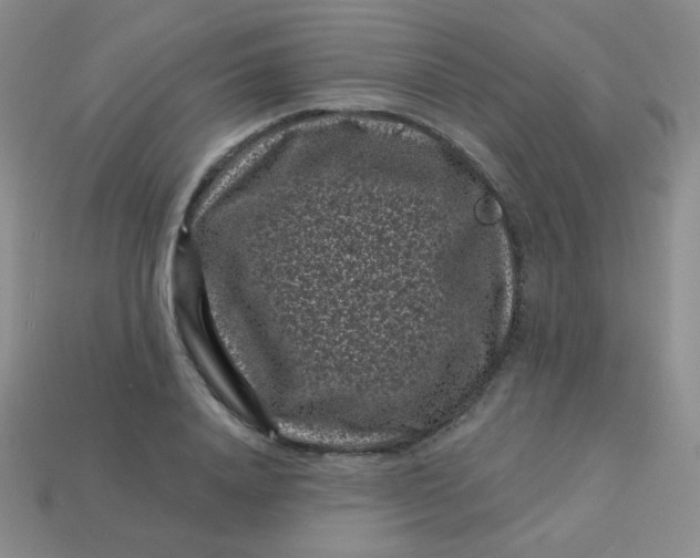 X0000113610840200910091540