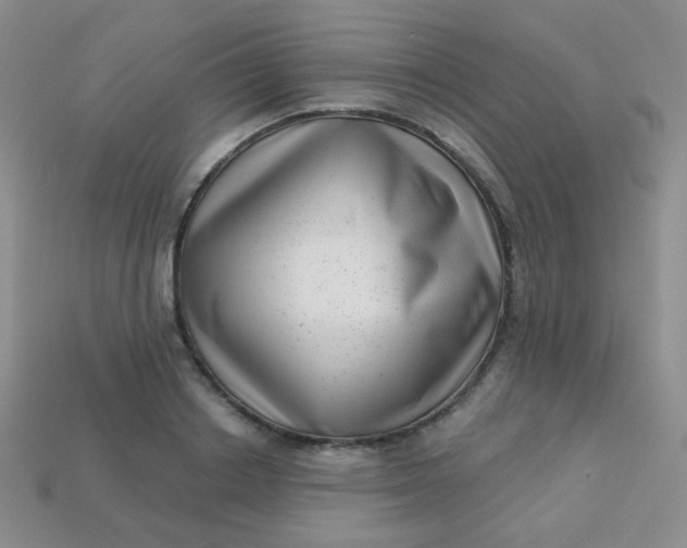 X0000113610842200910091540