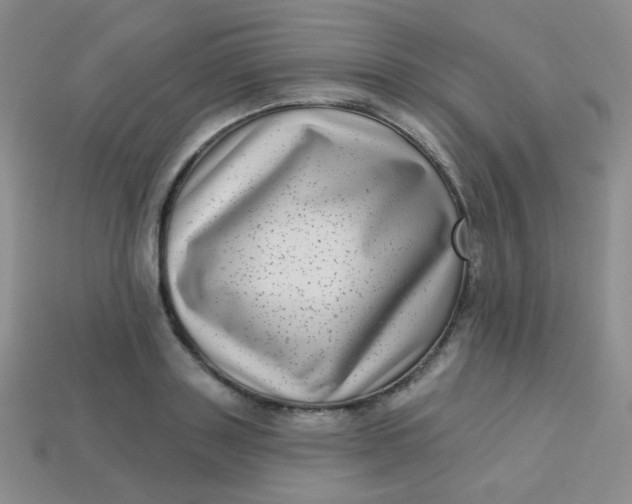 X0000113610843200910091540