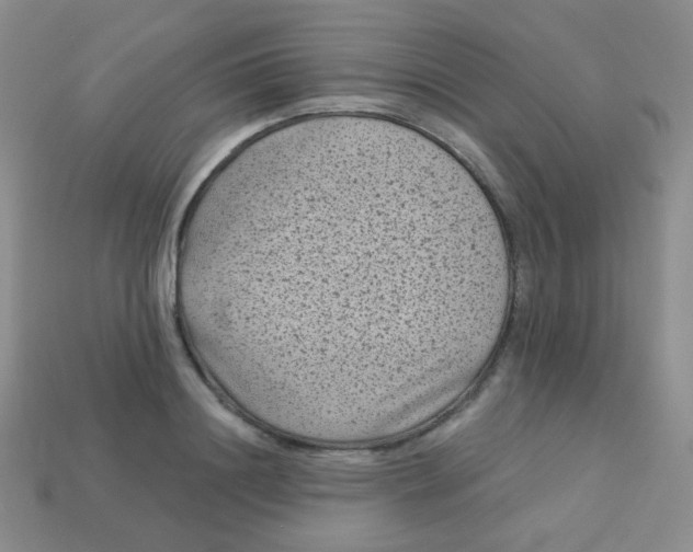 X0000113610844200910091540