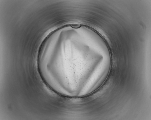 X0000113610845200910091540