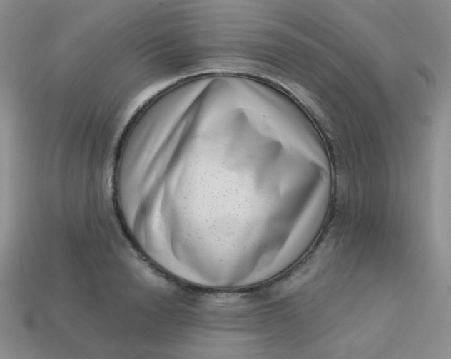 X0000113610846200910091540