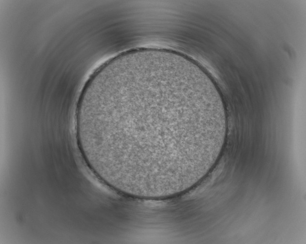 X0000113610848200910091540