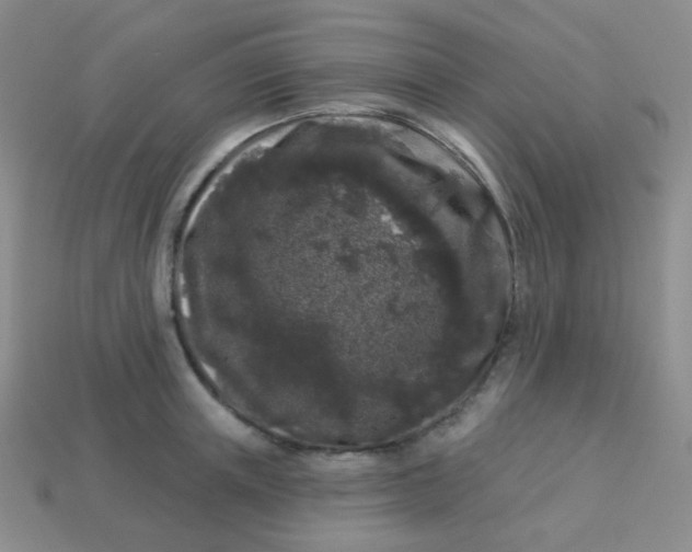 X0000113610851200910091540