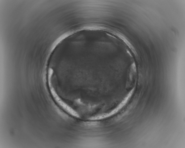 X0000113610853200910091540