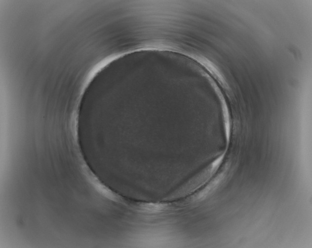 X0000113610854200910091540