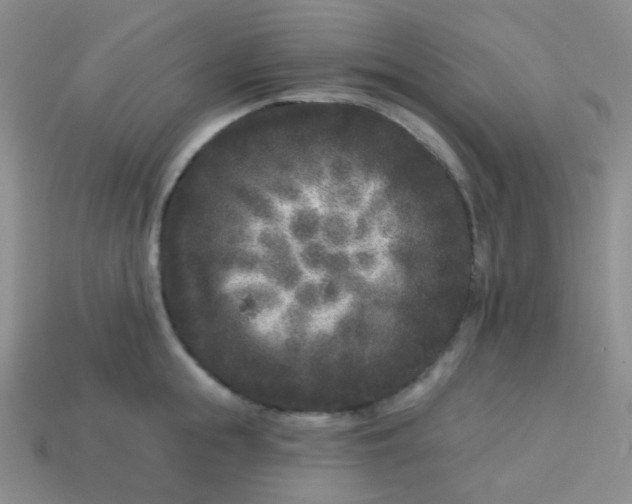 X0000113610855200910091540