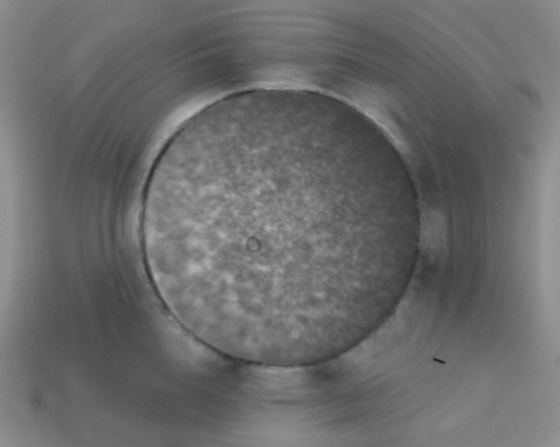 X0000113610856200910091540