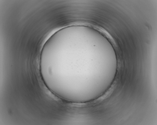 X0000113610860200910091540