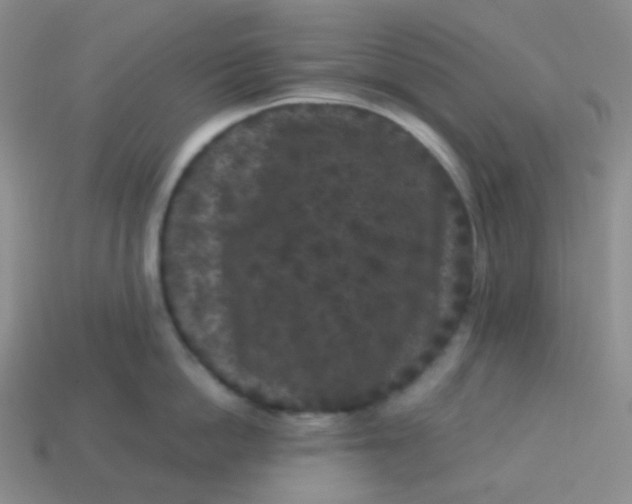 X0000113610862200910091540