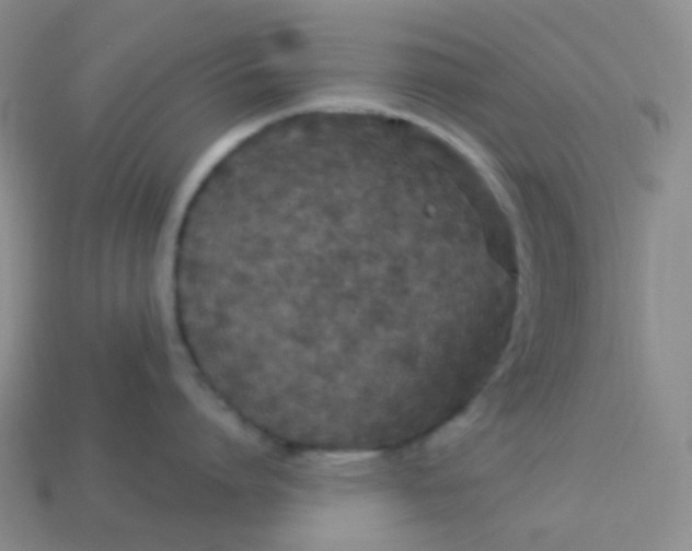 X0000113610864200910091540